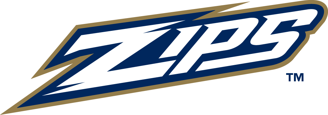 Akron Zips 2002-Pres Wordmark Logo v4 diy DTF decal sticker